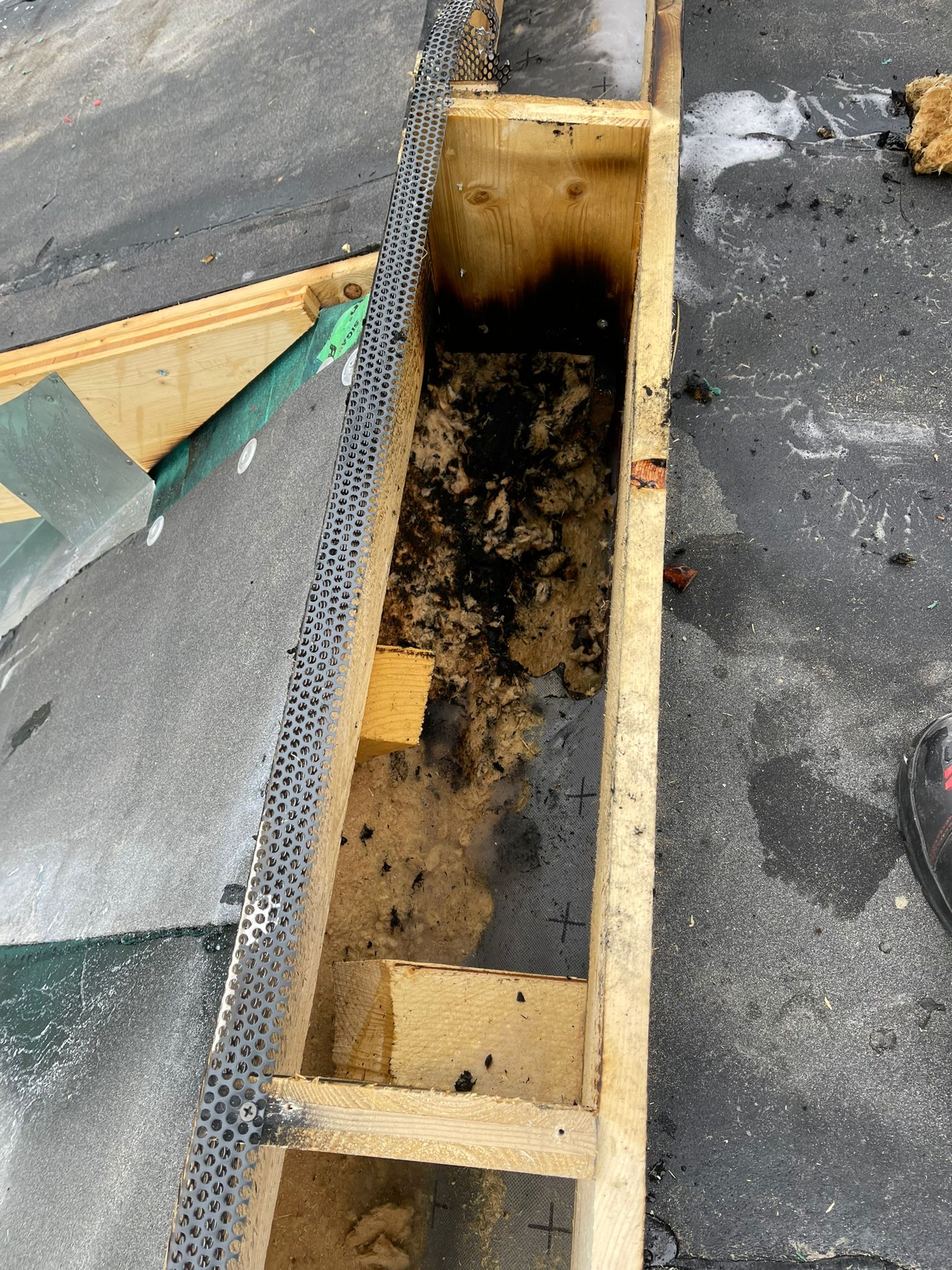 Mehr über den Artikel erfahren Nachkontrolle Brandstelle