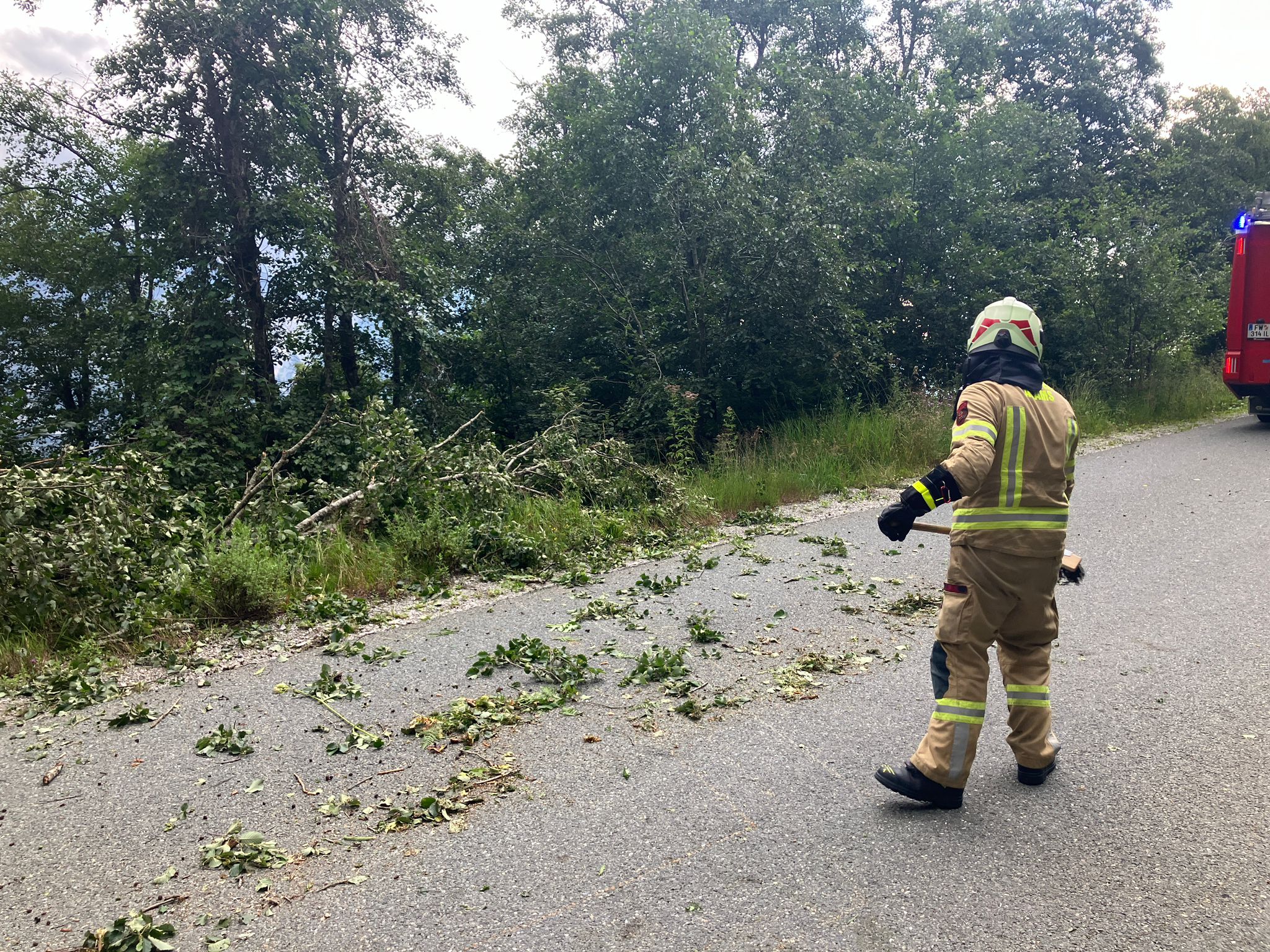 Mehr über den Artikel erfahren Baum auf Straße